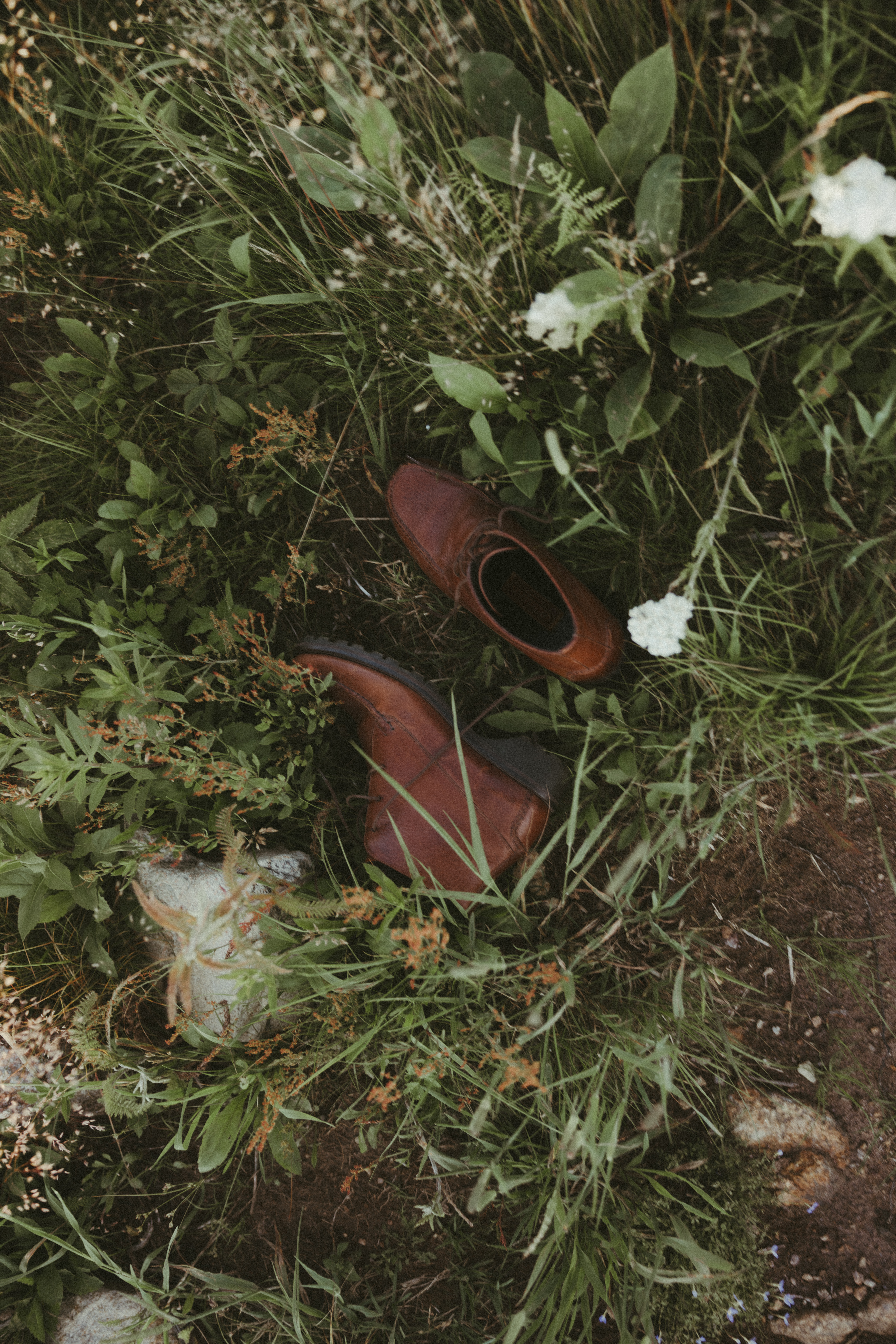 Asheville Engagement Photographer at Black Balsam Knob, mountain engagement photos
